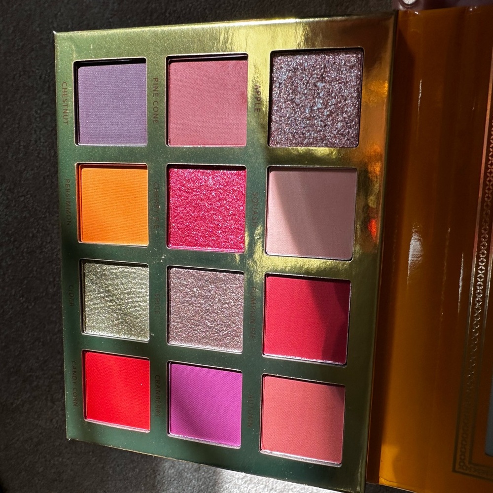 Ace Beaute Falling for You Eyeshadow Palette - Autumn Hues - Picture 2 of 5